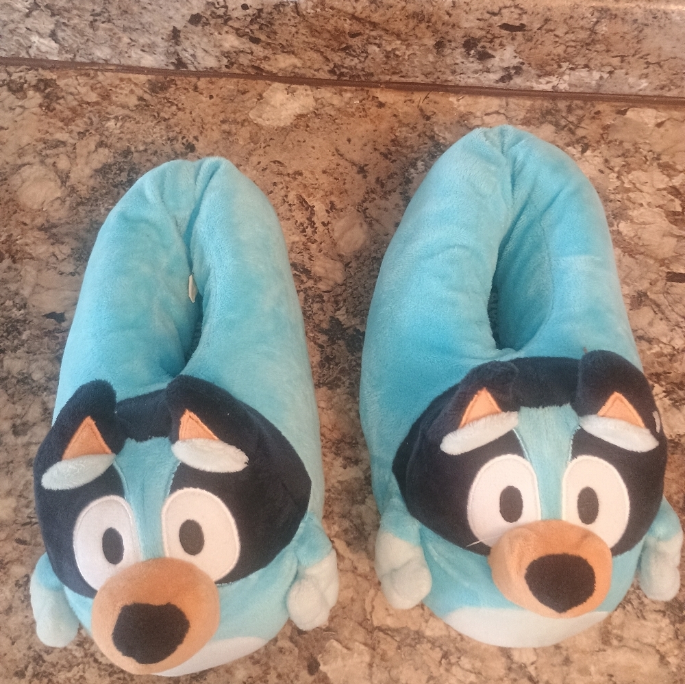 Blue Slippers 7/8 - Picture 2 of 4